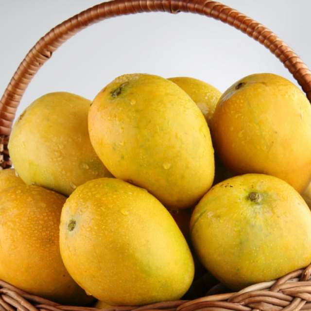 MANGO